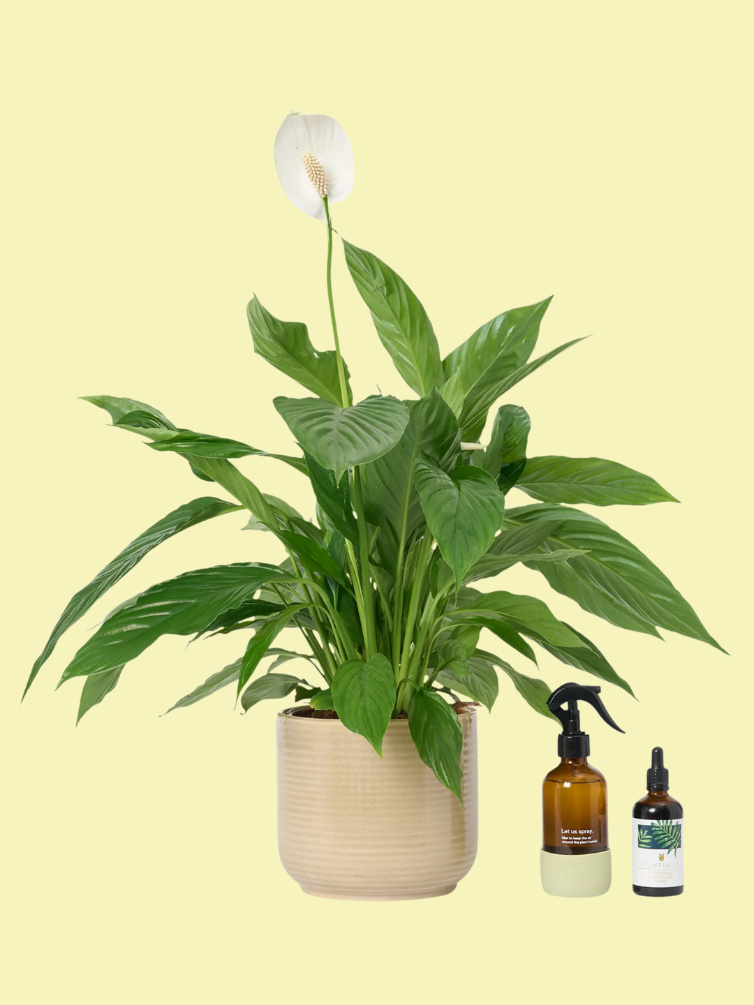 A peace lily in a ribbed pot beside a mister and a bottle of plant food
