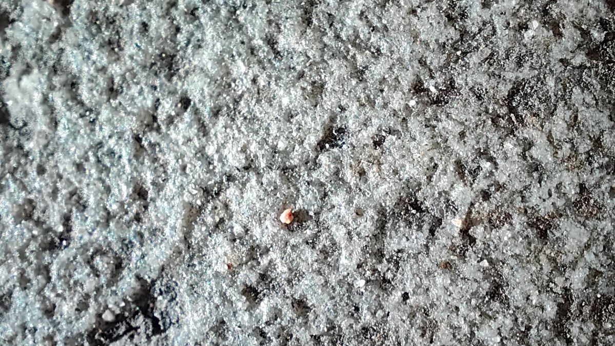 These Realme GT 2 Pro microscope photos show how far camera phones have ...