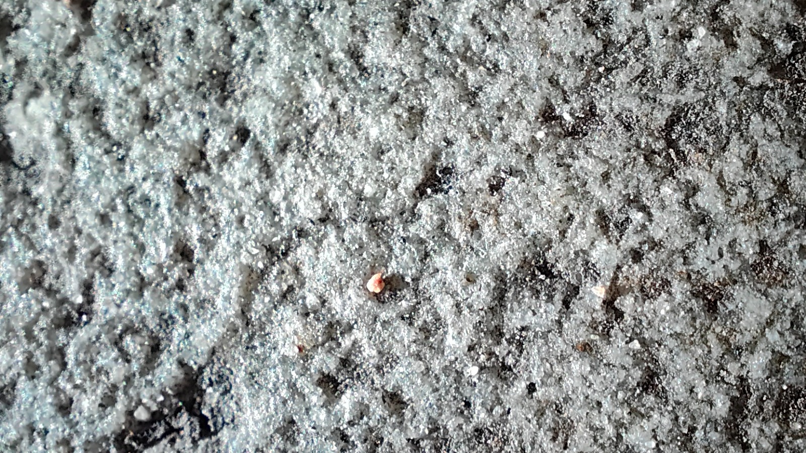 Microscopic picture of the pavement taken using the Realme GT 2 Pro