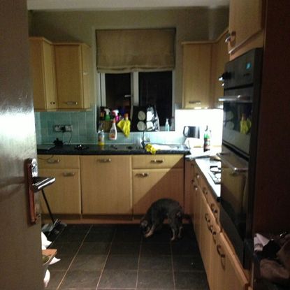 kitchen with wooden cabinet