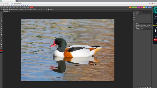 How to edit photos online with Photopea | TechRadar