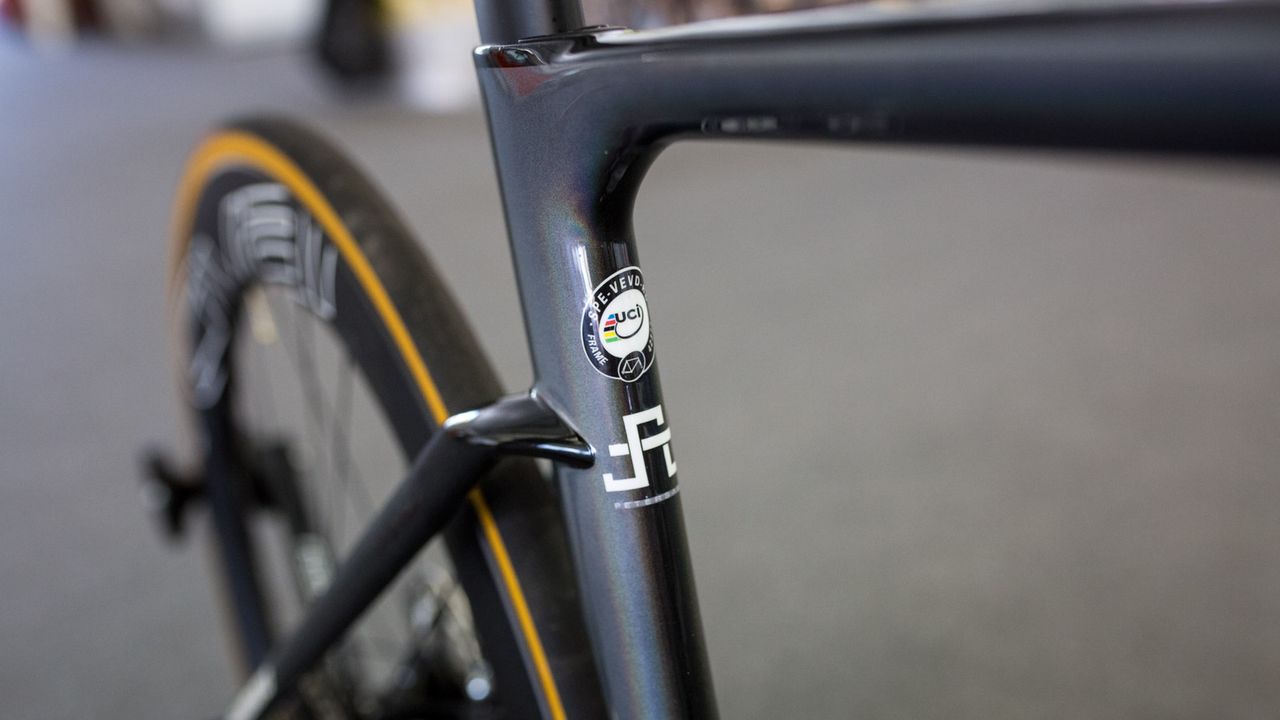 The seat tube features Peter Sagan's logo