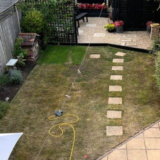 Yellow grass lawn after scarifying process in garden