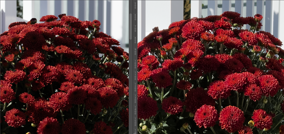 Images RAW test