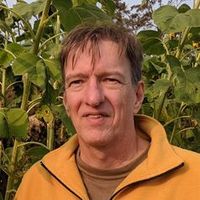 Marc Zimmer's avatar