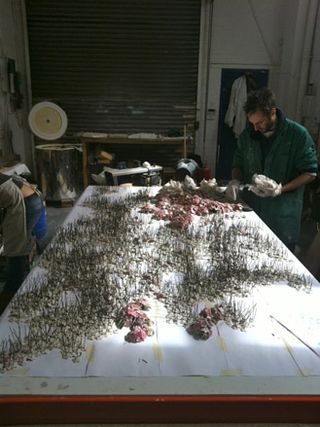Petals being laid out on a life-sized drawing.