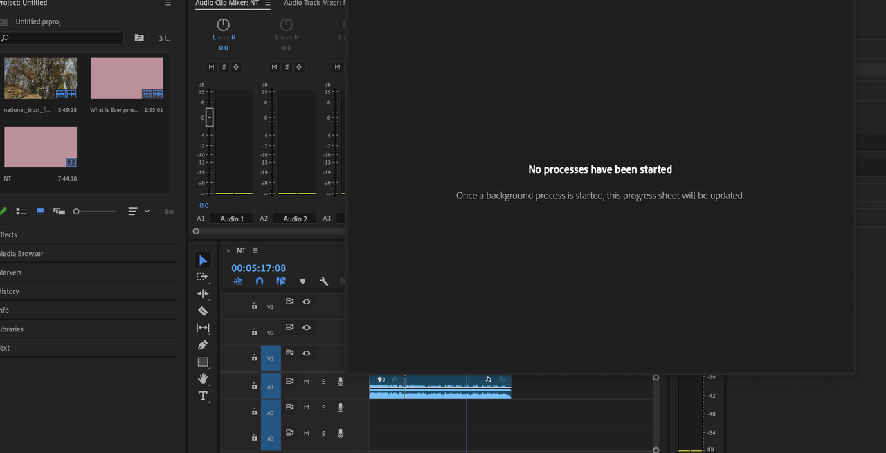 A screenshot from Adobe Premiere Pro in use