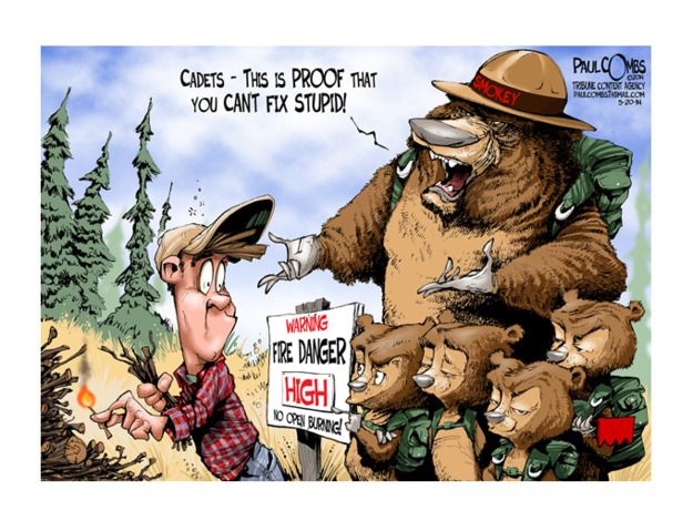 Editorial cartoon forest fire