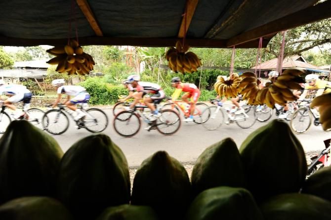 No time to stop for fruit on today's stage