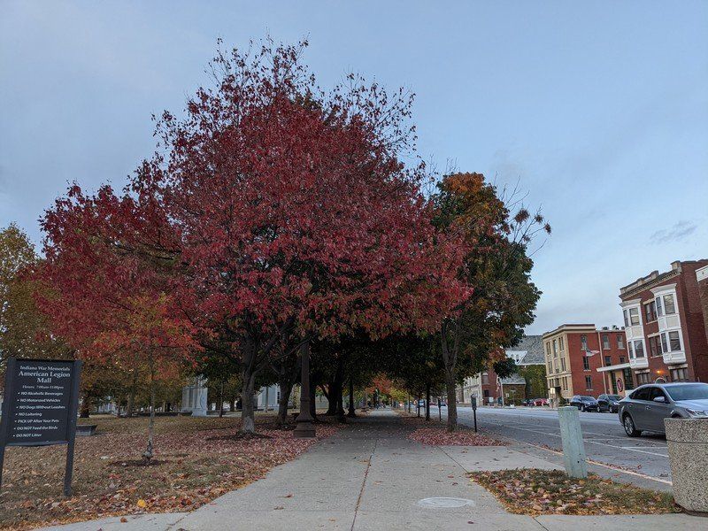Google Pixel 4a 5G camera sample (primary)