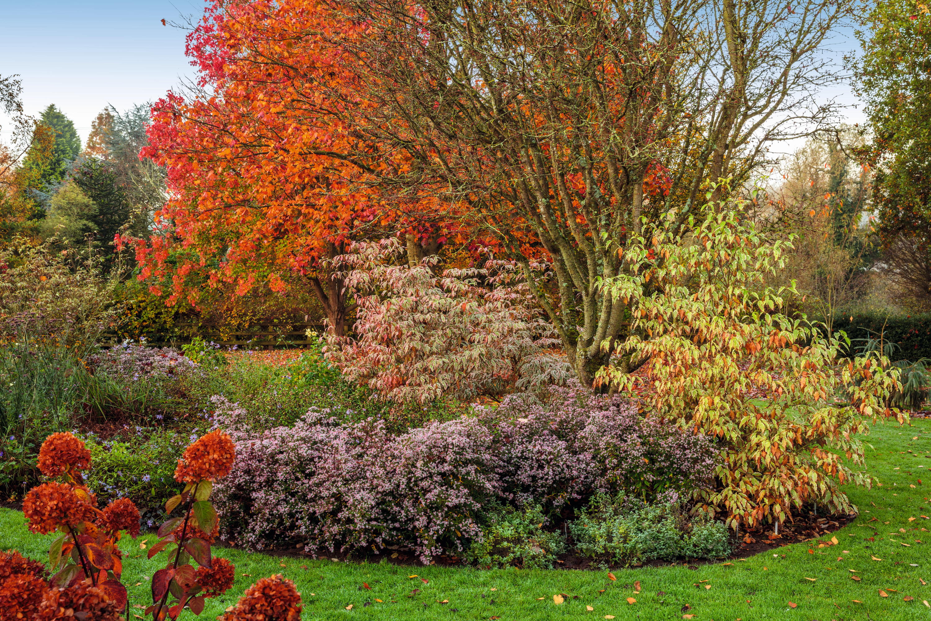 John Massey's garden photographed by Clive Nichols