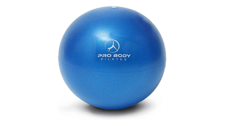 ProBody Pilates Mini Exercise Ball