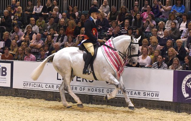 HorseNo1199_HOYS_PN16_1746.jpg