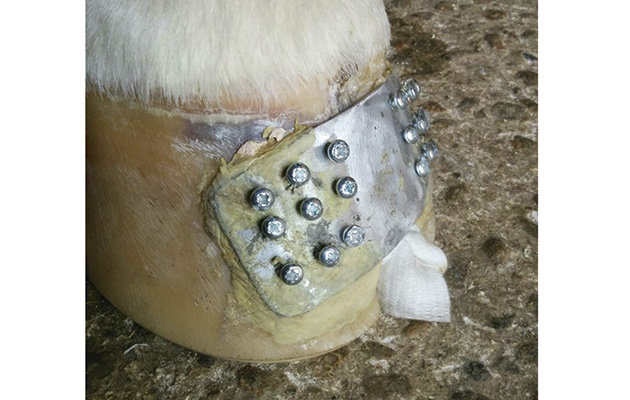 Plate plus saline soaked swab packed in hole