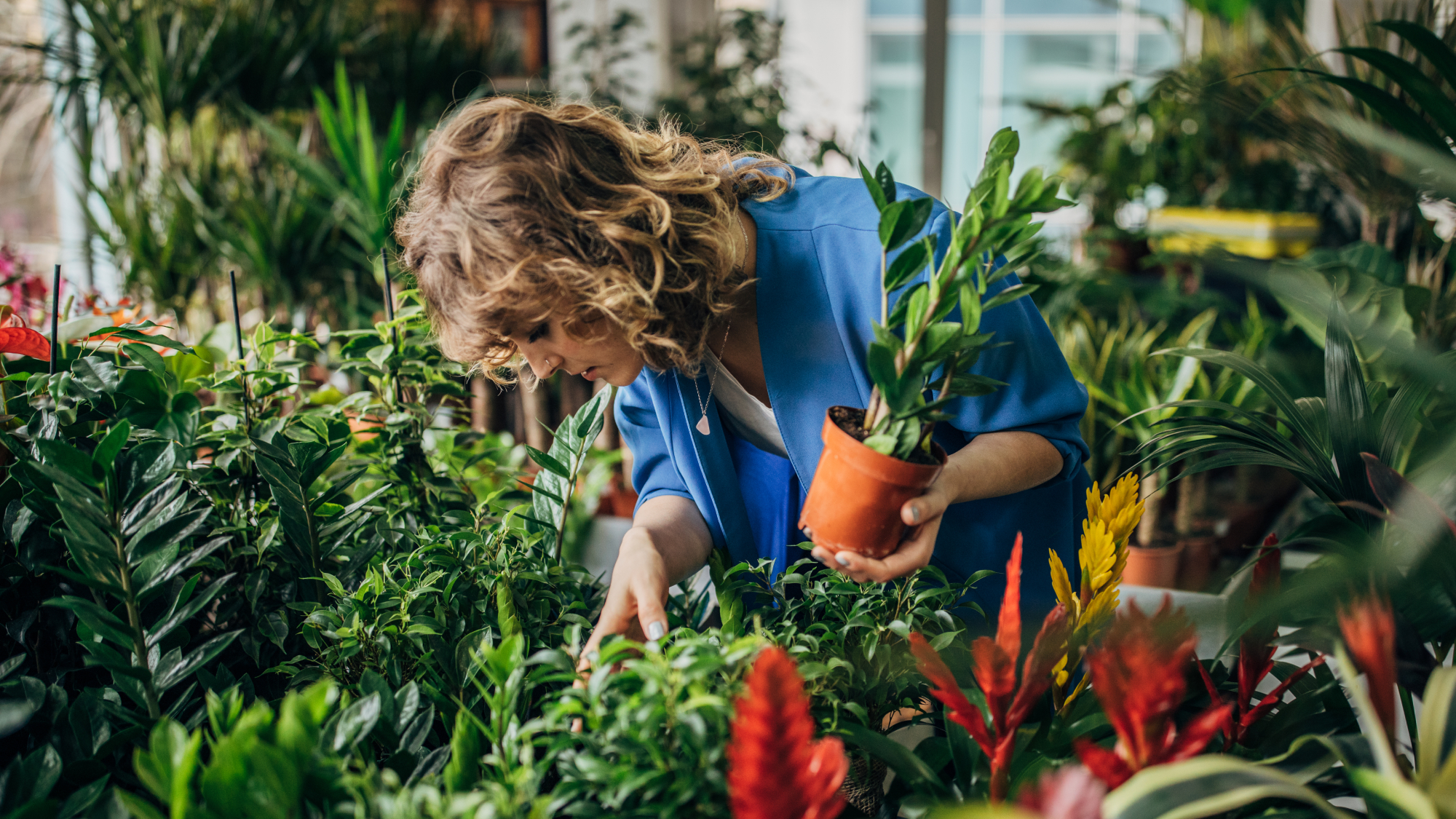 woman examining houseplants for sale in a store