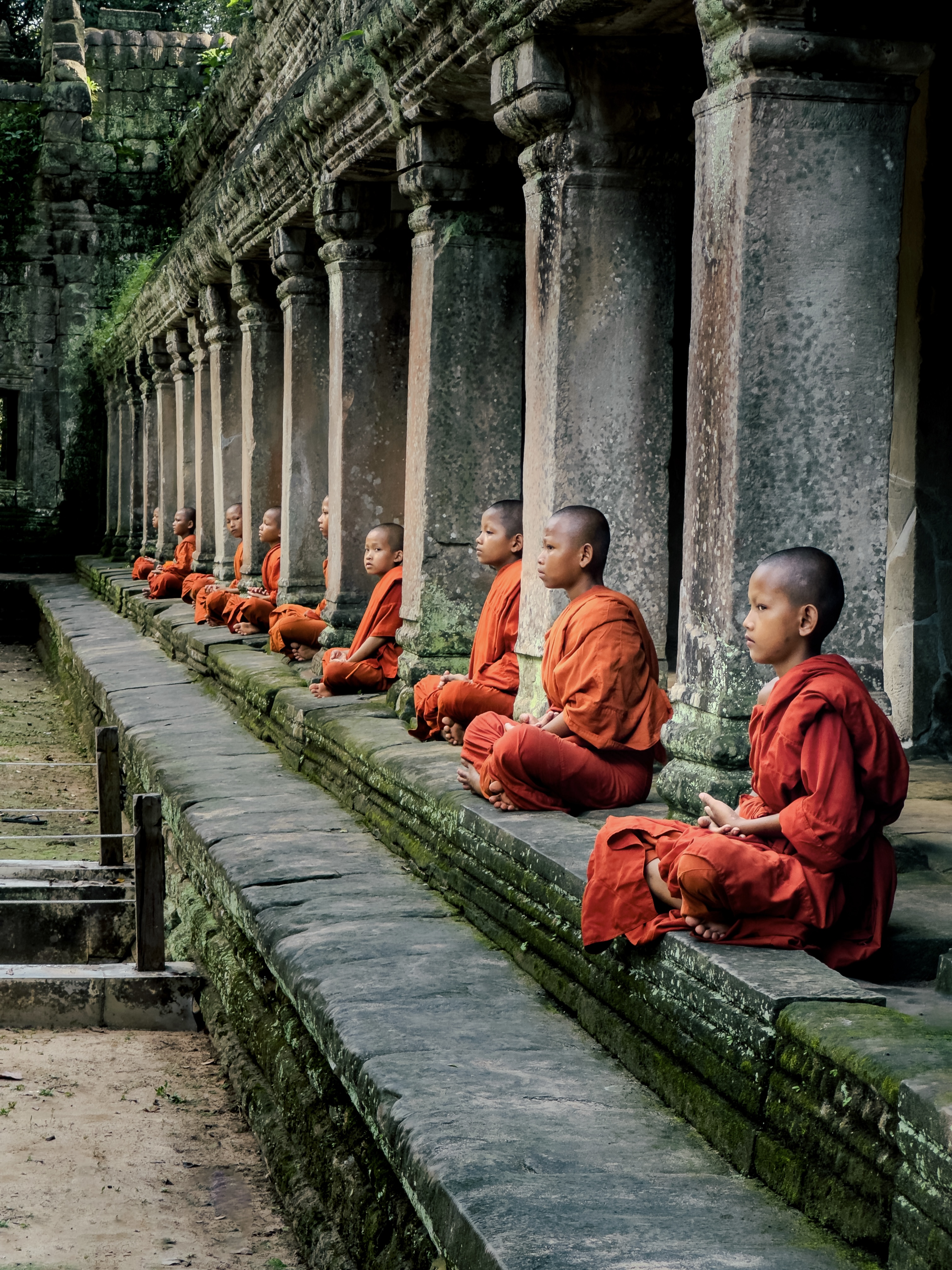 A line of young monks meditating at a temple