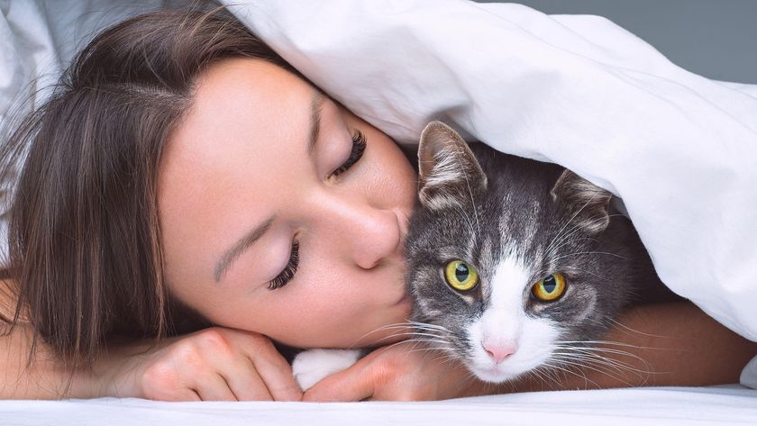 Cat owner in bed with cat, kissing it on the cheek