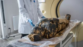 A mummy undergoes a CT scan.