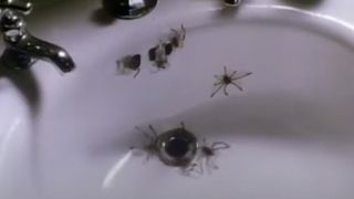 Spiders from Arachnophobia