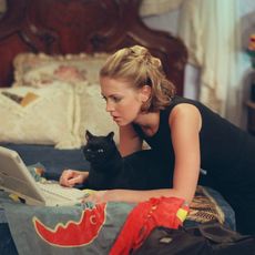 Small to medium-sized cats, Felidae, Cat, Sitting, Carnivore, Bag, Living room, Laptop, Black cat, Brown hair, 