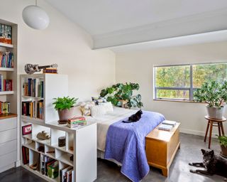 Teen bedroom with bookcase room divider, single bed, and house plants