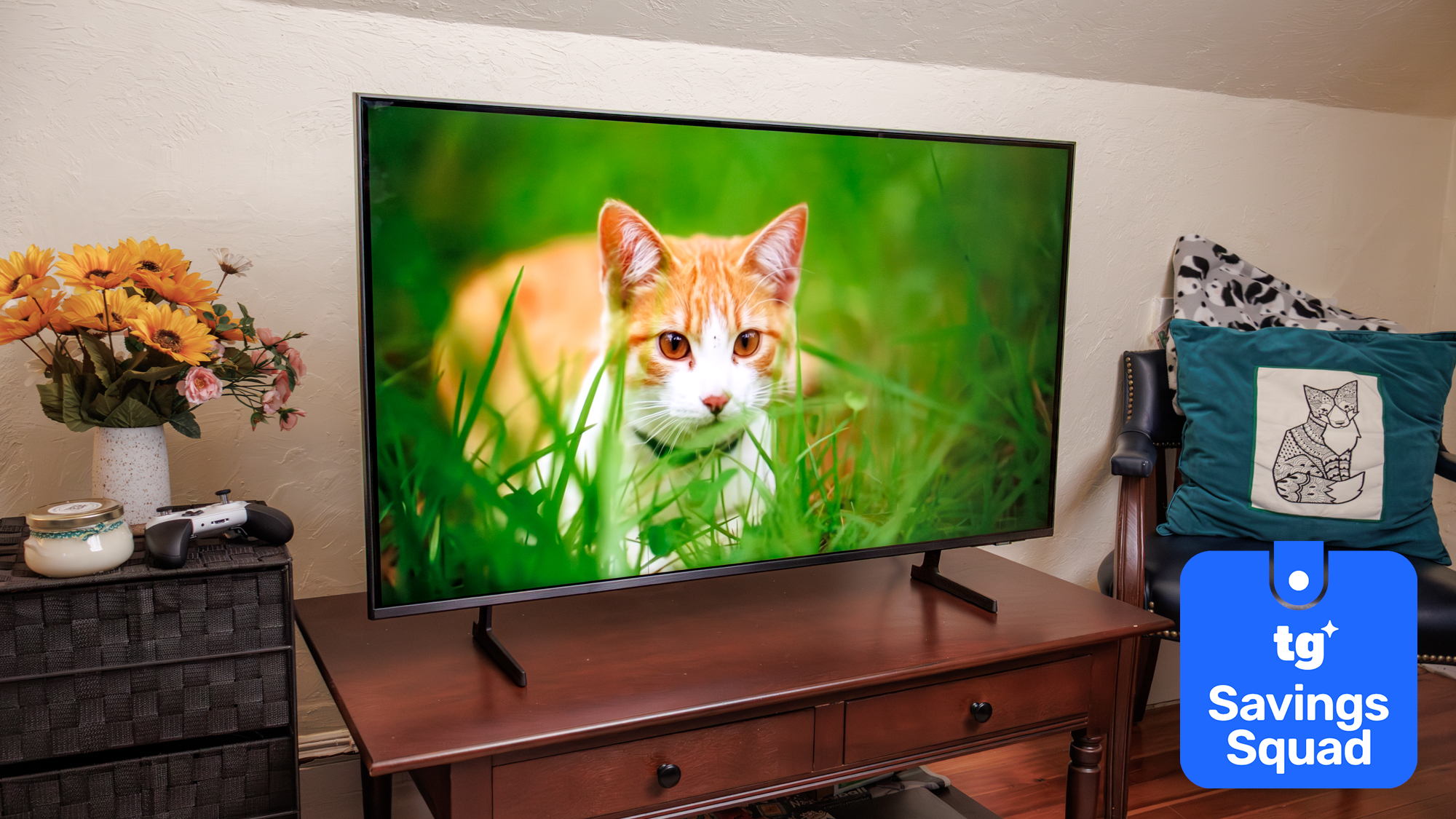 The Samsung Q7F displaying a scene with an orange cat in high grass