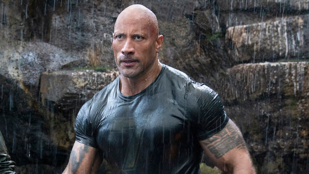Dwayne Johnson Has Another Look-Alike, And This One Will Help You Move ...