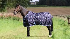 26765-StormX-Original-Liza-Dog-0-Turnout-Rug-Lifestyle-01.jpg