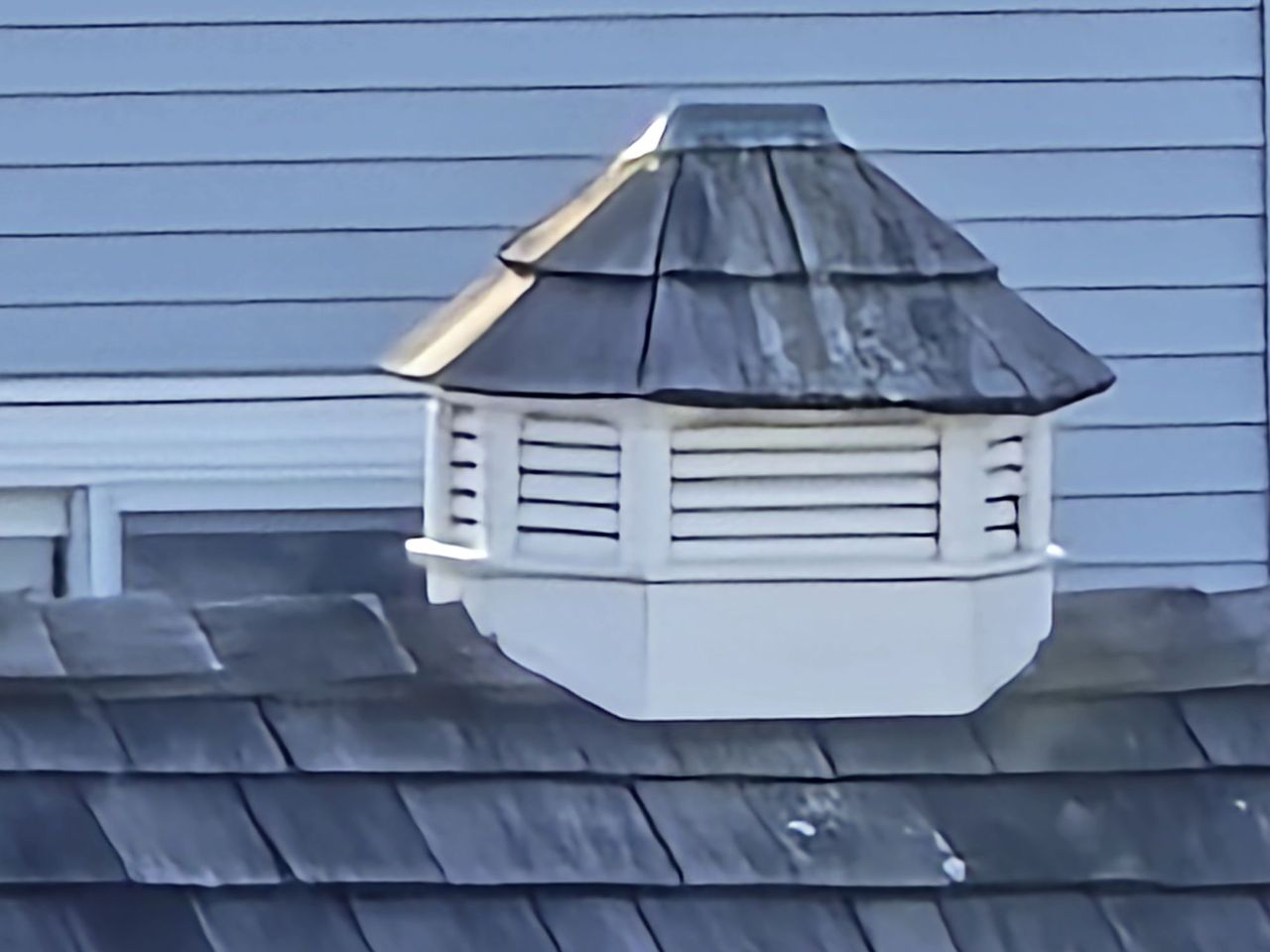 Samsung Galaxy S24 Ultra zoom sample.