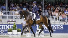 USA rider William Coleman aboard Chin Tonic HS at Luhm&uuml;hlen Horse Trials.