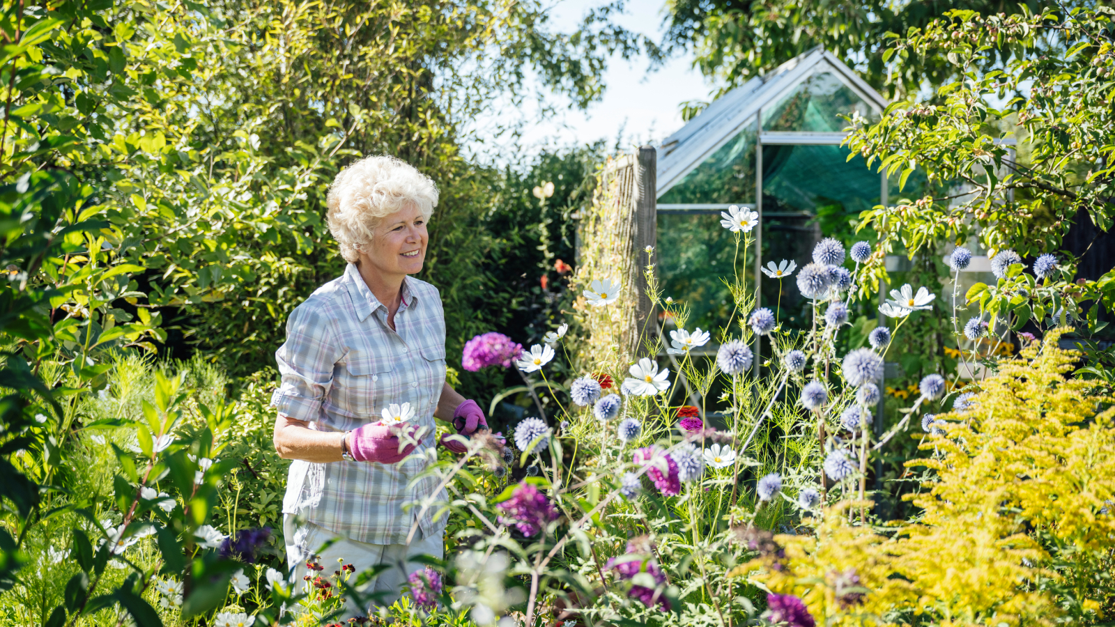Caucasian woman in early 60s pleased with summer growth of flowering plants in her backyard English garden.