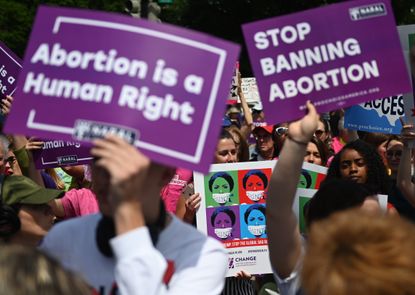 Abortion rights activists rally in Washington, DC.
