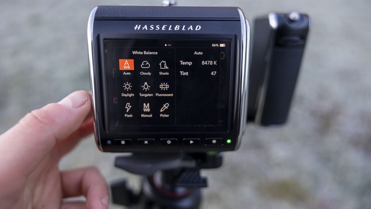 Setting the white balance on the Hasselblad 907X CFV 100C