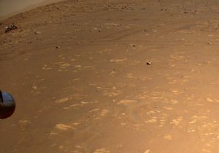 NASA's Mars helicopter Ingenuity captured this photo of the Perseverance rover and its tracks from the air on April 25, 2021. (This photo has been cropped so that the rover is more clearly visible.)