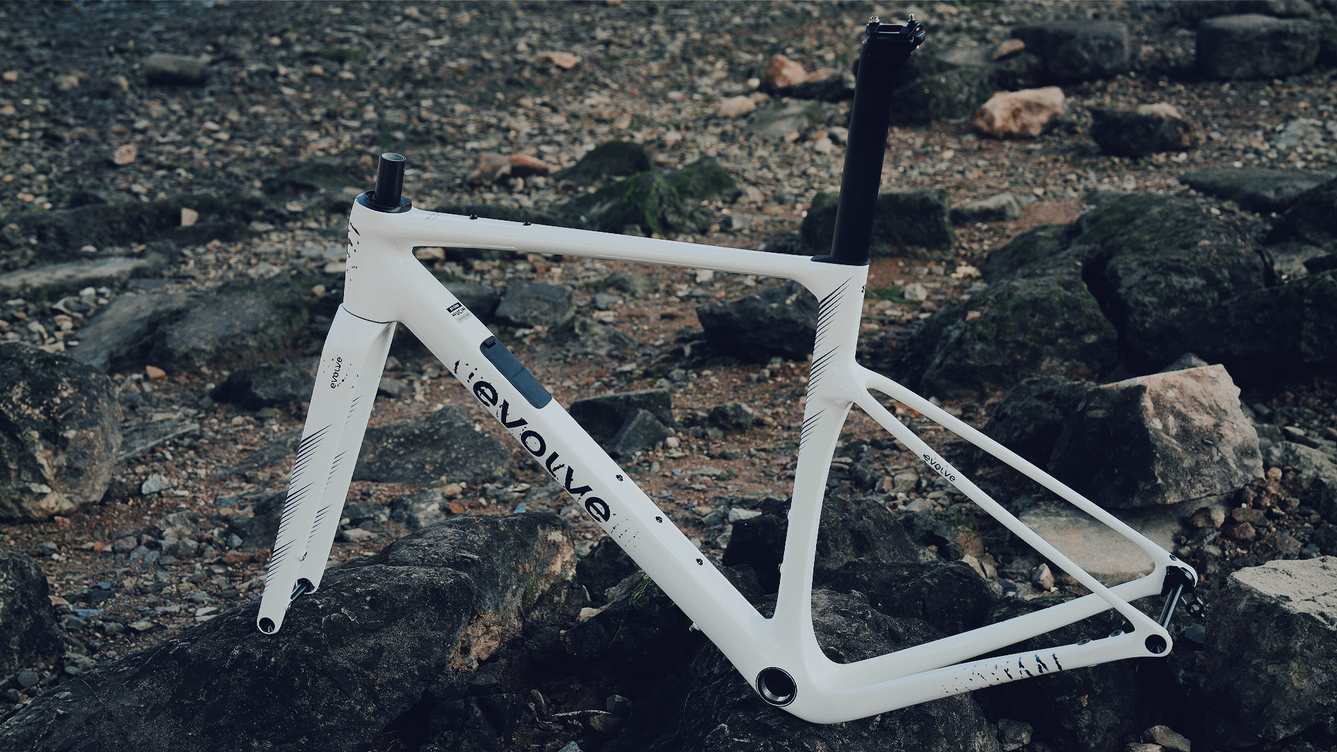 Evolve bikes