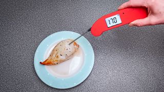 ThermoWorks ThermoPen One thermometer