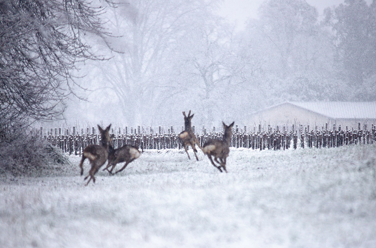 wine photographer of the year shortlist 2025