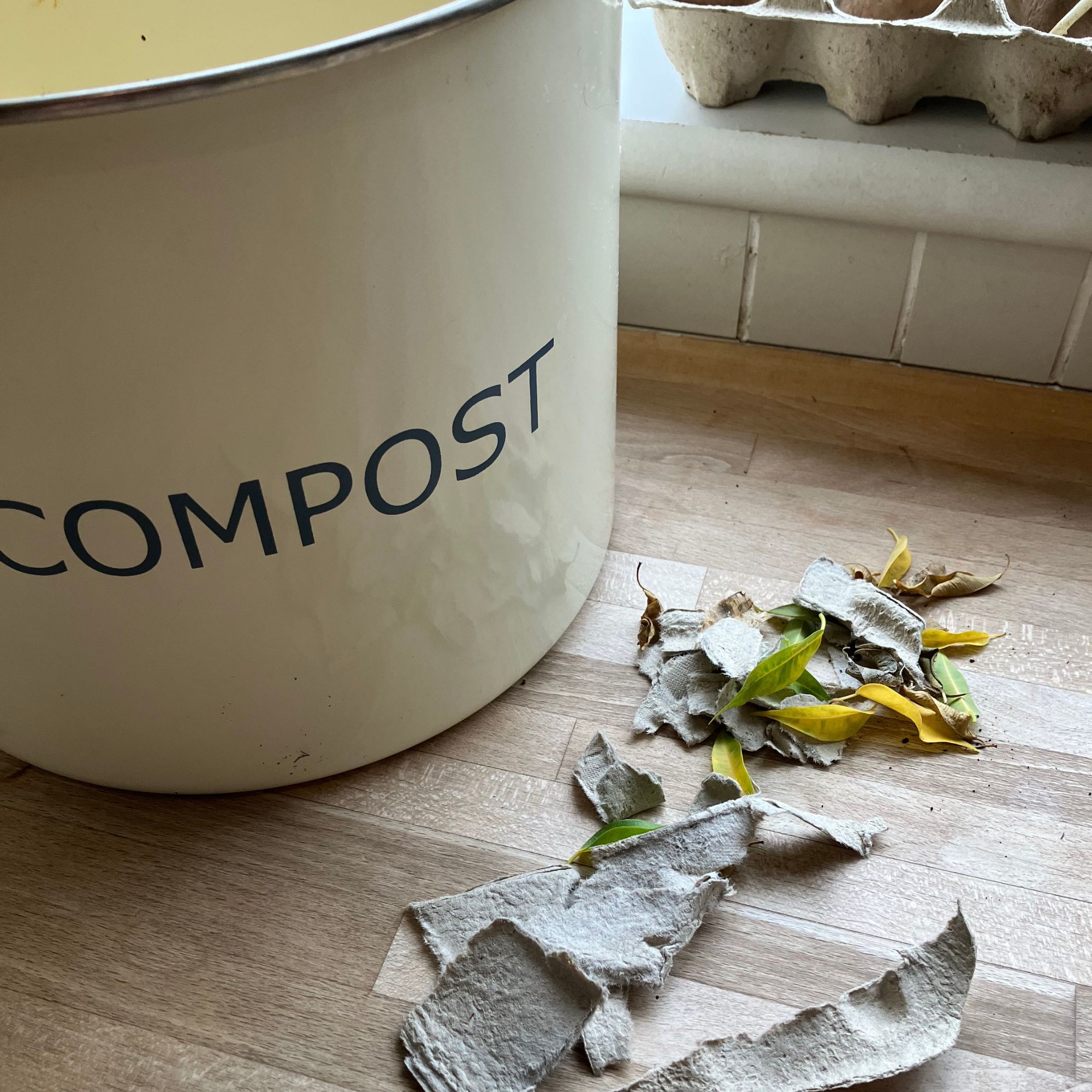 recycling egg cartons to make compost