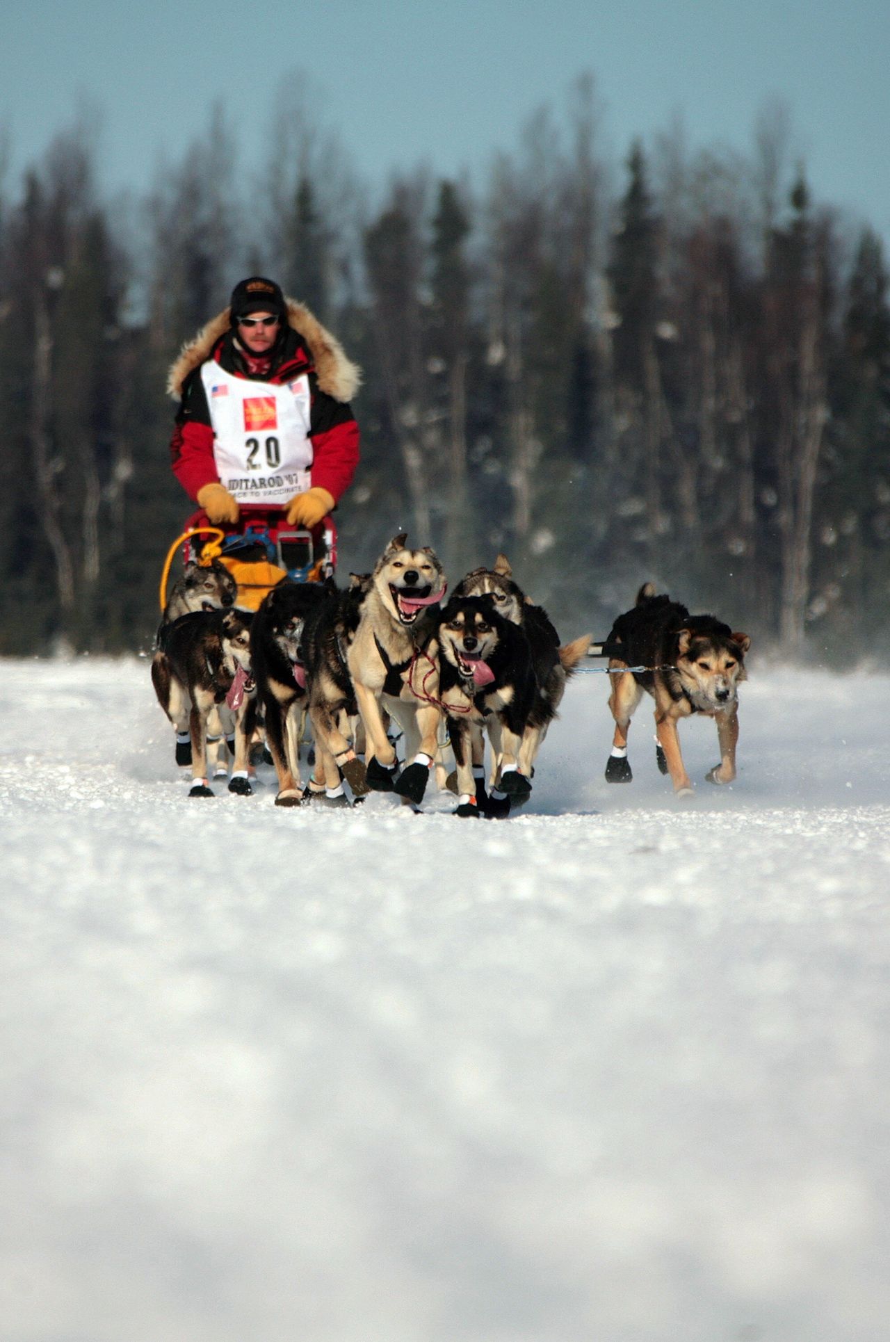 Iditarod musher Dallas Seavey