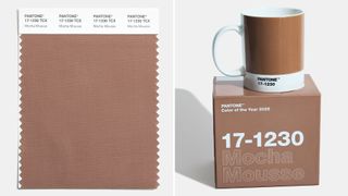 Pantone colour of the year 2025 Mocha Mousse colour sample and on a mug