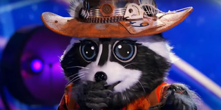 The Raccoon on Fox's The Masked Singer