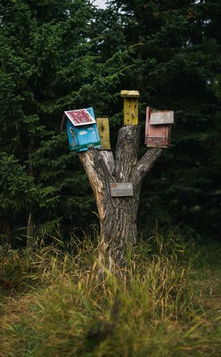 several bird boxes and bug hotels on a tree stump