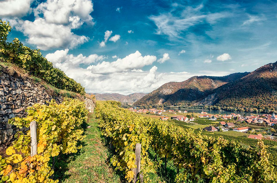 Feature-Lage_Kollmuetz_Rudi-Pichler-vineyards.jpg