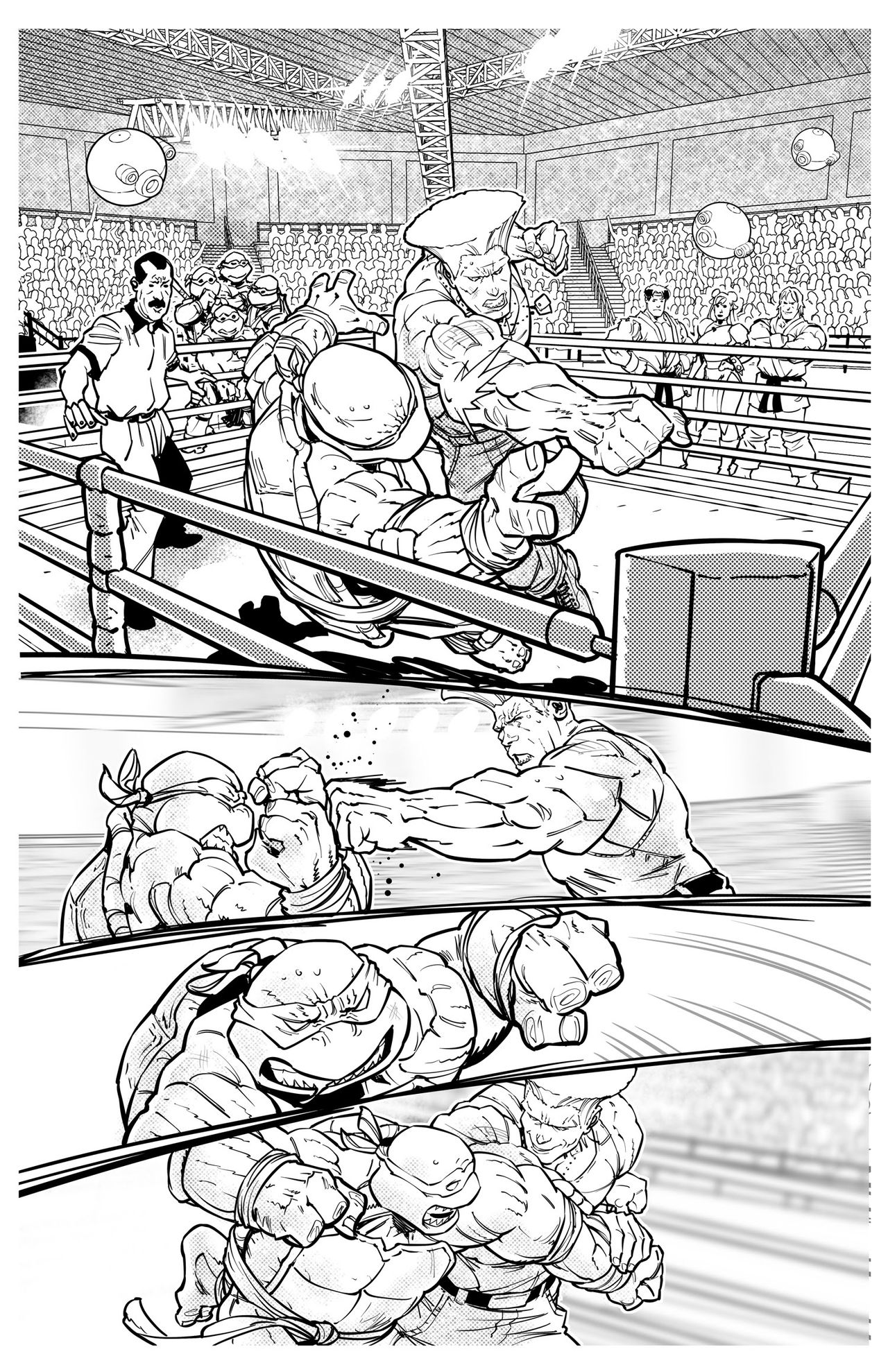 Teenage Mutant Ninja Turtles vs. Street Fighter