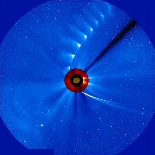 Comet ISON comes in from the bottom right and moves out toward the upper right, getting fainter and fainter, in this time-lapse image from the ESA/NASA Solar and Heliospheric Observatory on Nov. 28, 2013. The image of the sun at the center is from NASA's Solar Dynamics Observatory.