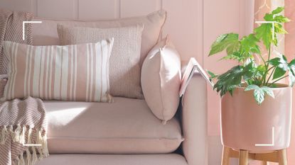Close up of beige linen sofa in a neutral room with a large plant pot with houseplants to keep a room cool