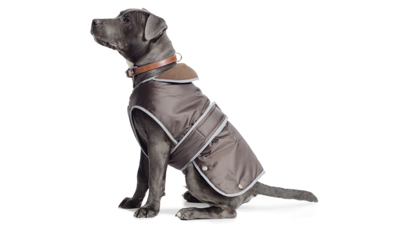 Ancol Muddy Paws Stormguard waterproof dog coat