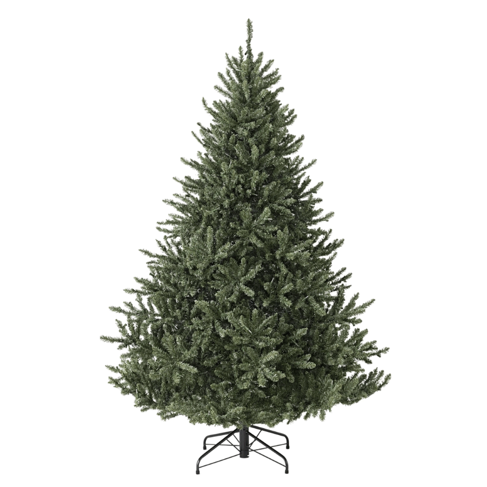 Canadian Blue Green Spruce Tree with Twinkly Light Show
