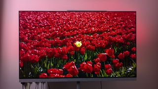 Philips OLED+959 listing image with red flowers on screen