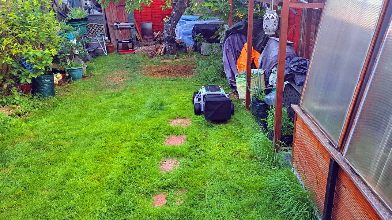 Mowrator S1 cutting grass